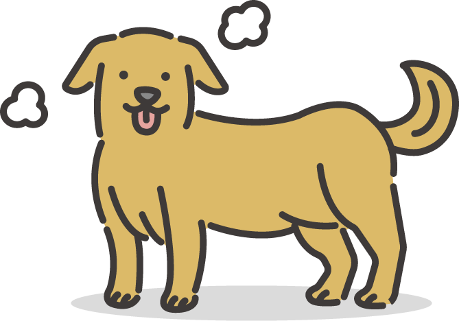 愛犬と一緒の生活をもっと楽しみたい！