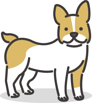 楽しいアクティビティがもりだくさん！