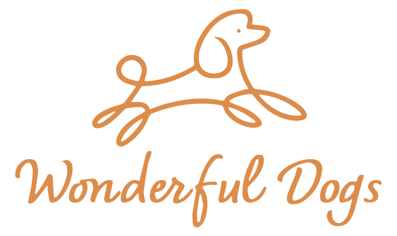 小野市から通える『Wonderful Dogs』は犬のトレーニング教室。社交性を養うペット幼稚園です