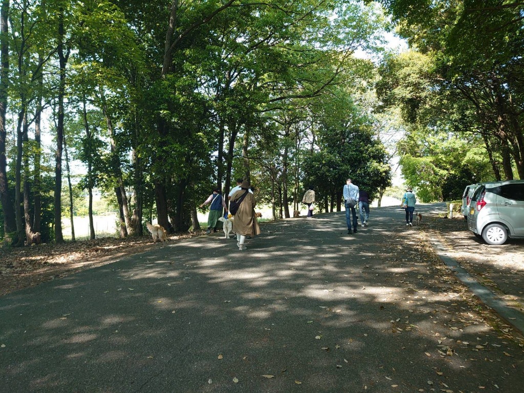 散歩練習会、無事に終わりました。